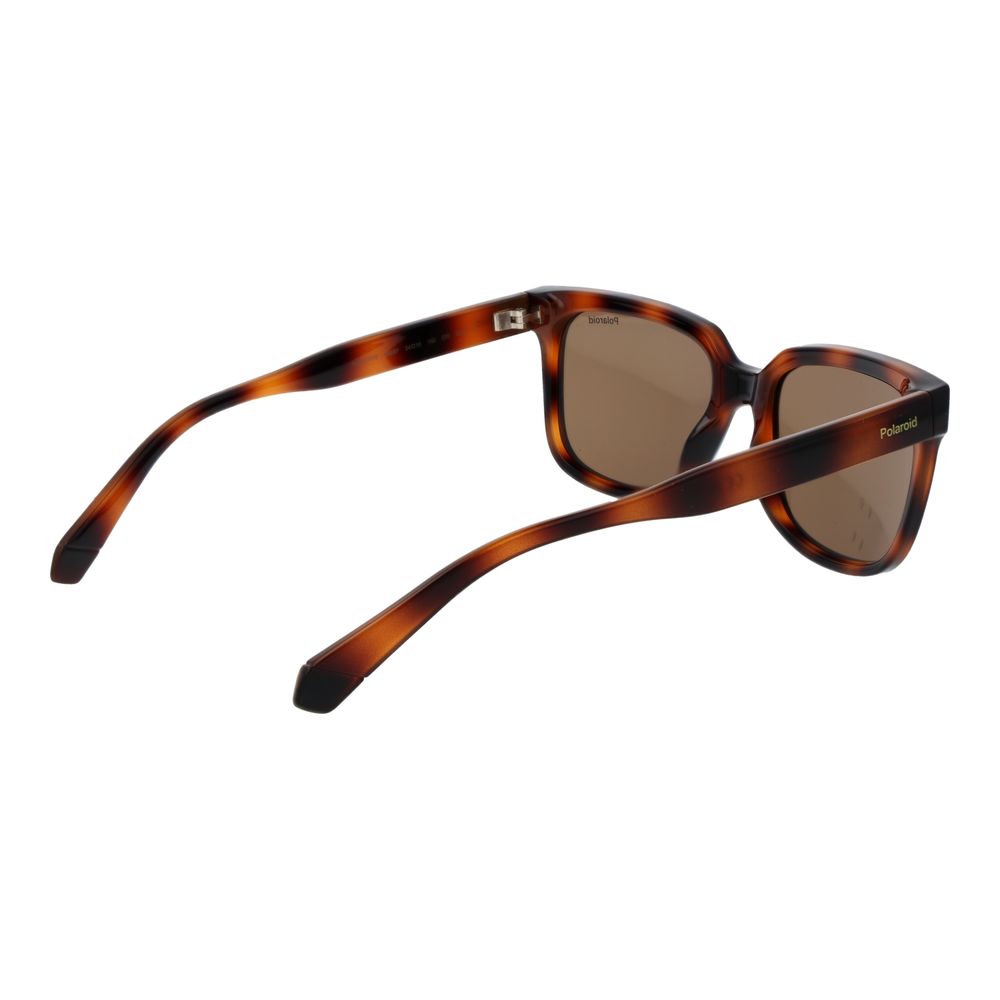 Polaroid Brown Polycarbonate Sunglasses