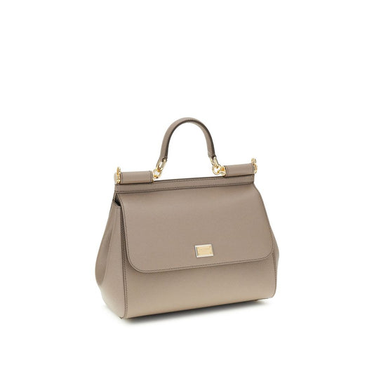 Dolce & Gabbana Gray Calf Leather Bos Taurus Handbag