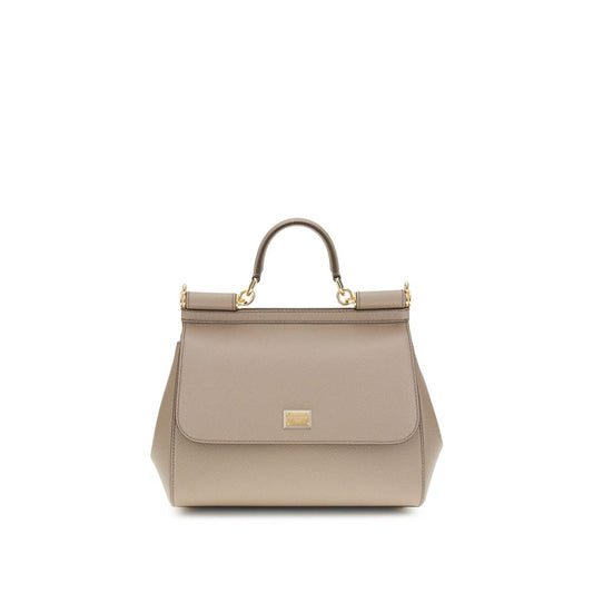 Dolce & Gabbana Gray Calf Leather Bos Taurus Handbag