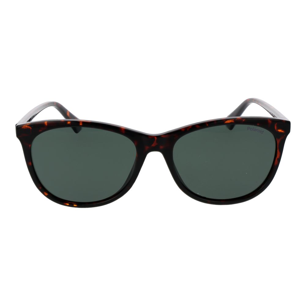 Polaroid Brown Plastic Sunglasses