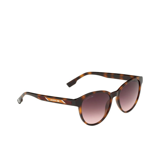 Lacoste Brown Injected Sunglasses