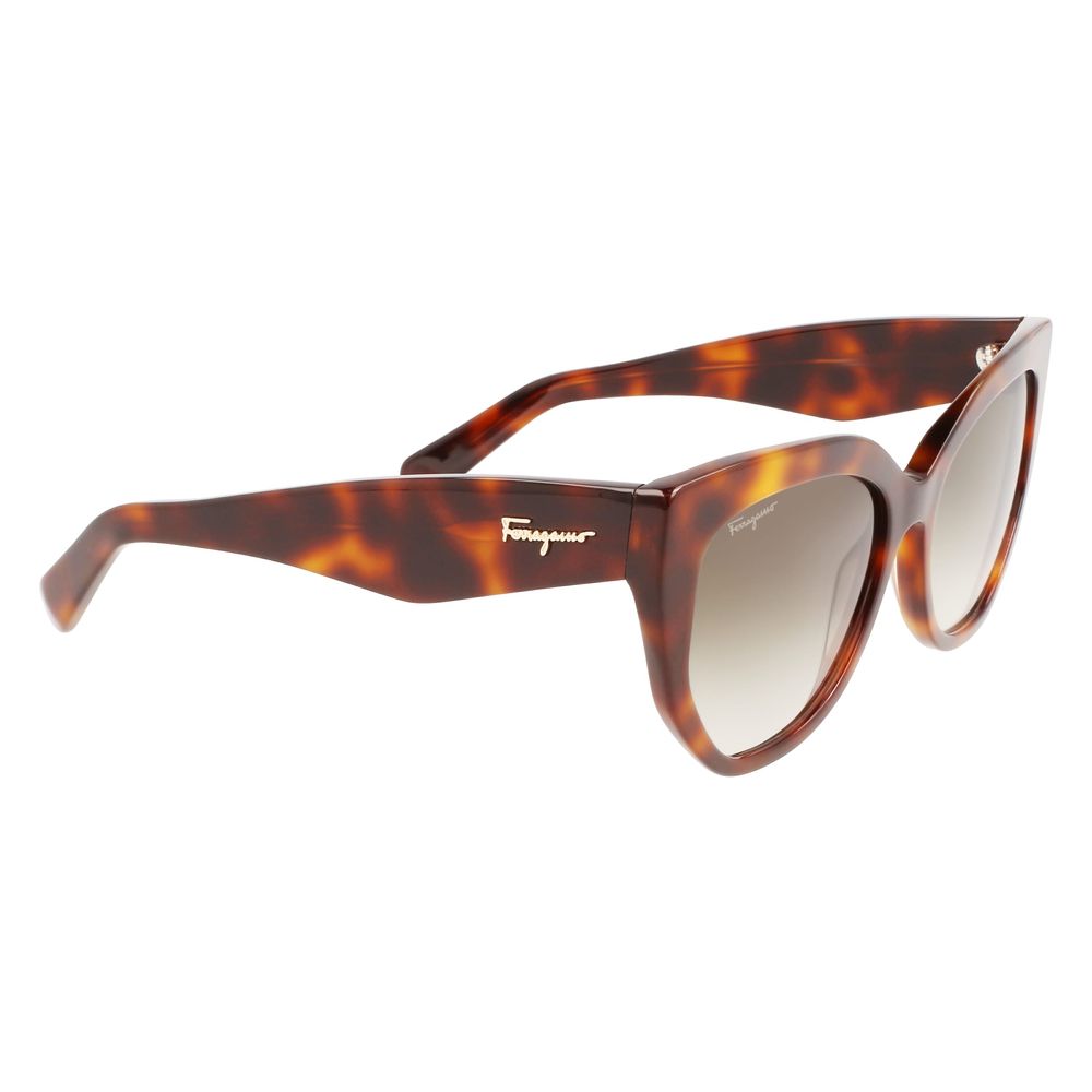 Ferragamo Brown Acetate Sunglasses