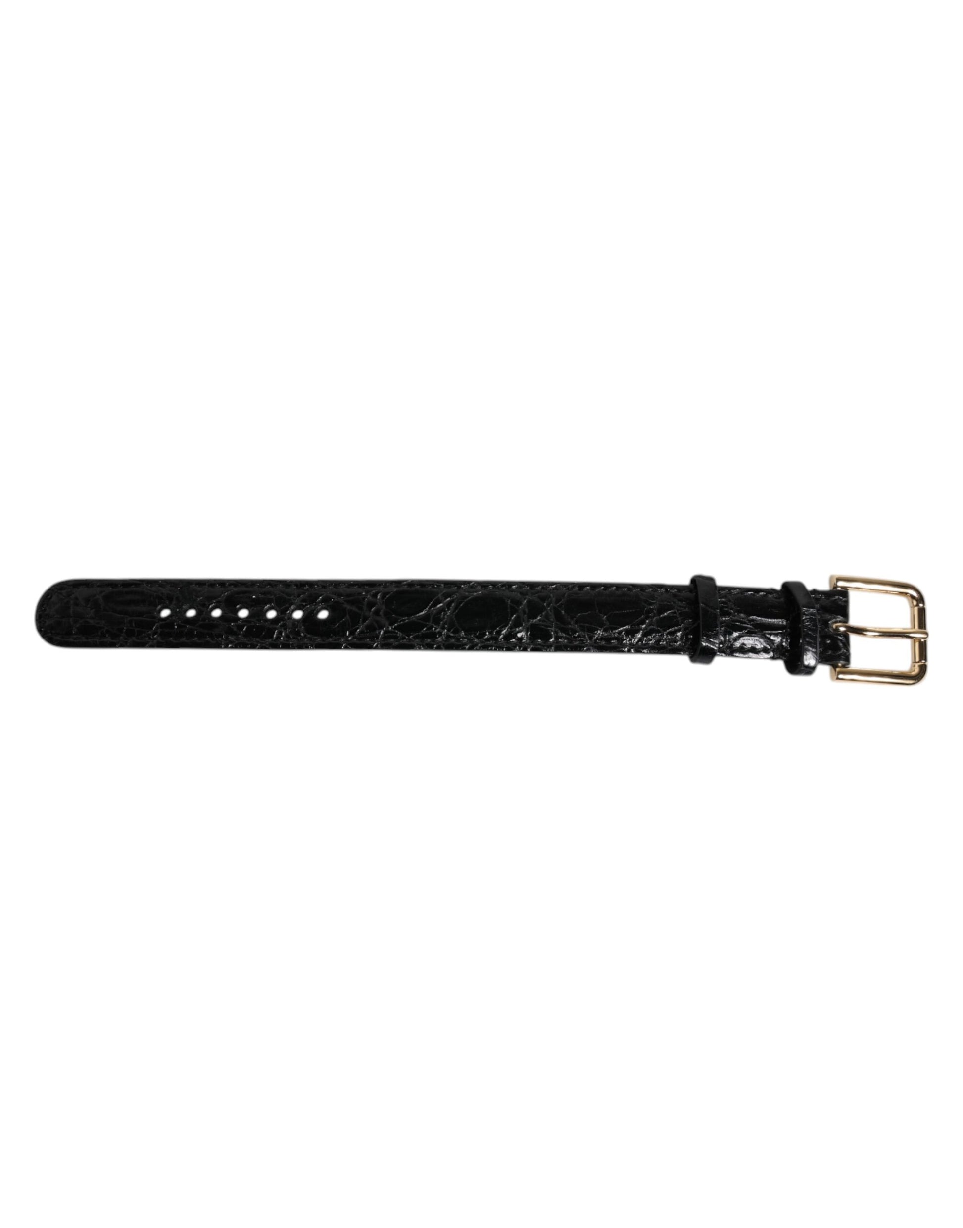 Dolce & Gabbana Black Exotic Leather Gold Tone Metal Buckle Armband