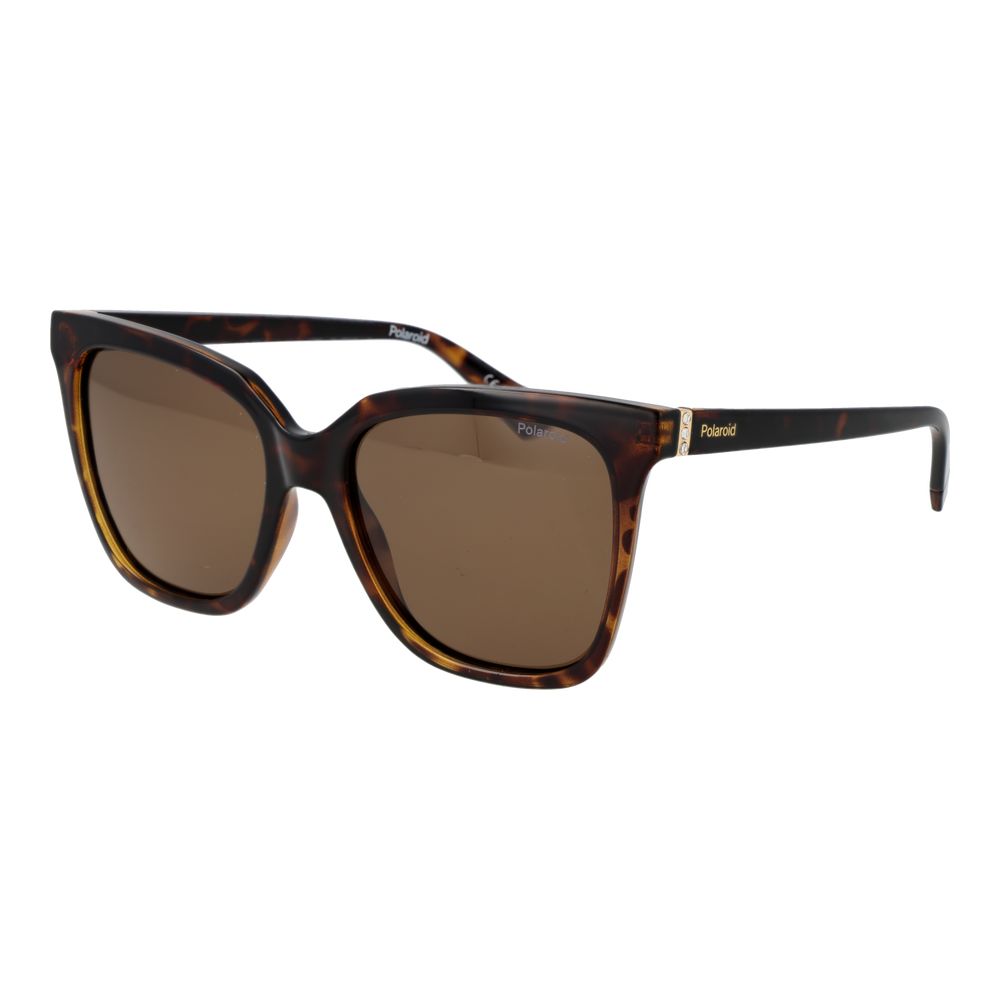 Polaroid Brown Polycarbonate Sunglasses