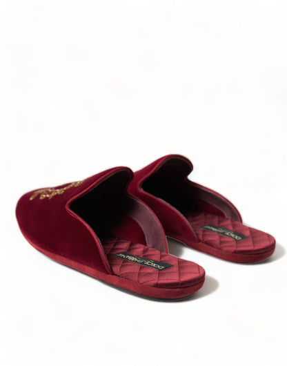 Dolce & Gabbana Bordeaux Velvet Gold Crown Embroidery Slides Shoes